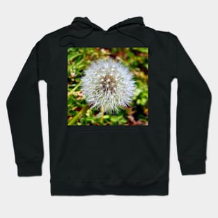 Make A Wish Hoodie